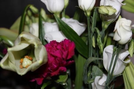 [Morsdagsblomster%25202%255B3%255D.jpg]
