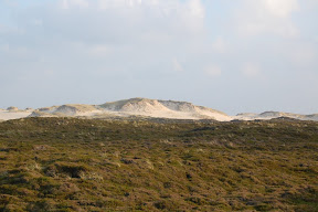 DSC_0408.JPG