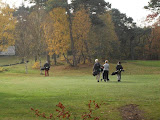 Photo19 111105 Wildwedstrijd