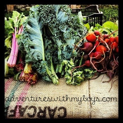 [freshveggies%255B3%255D.jpg]