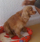 GUILLE
OCT-2011