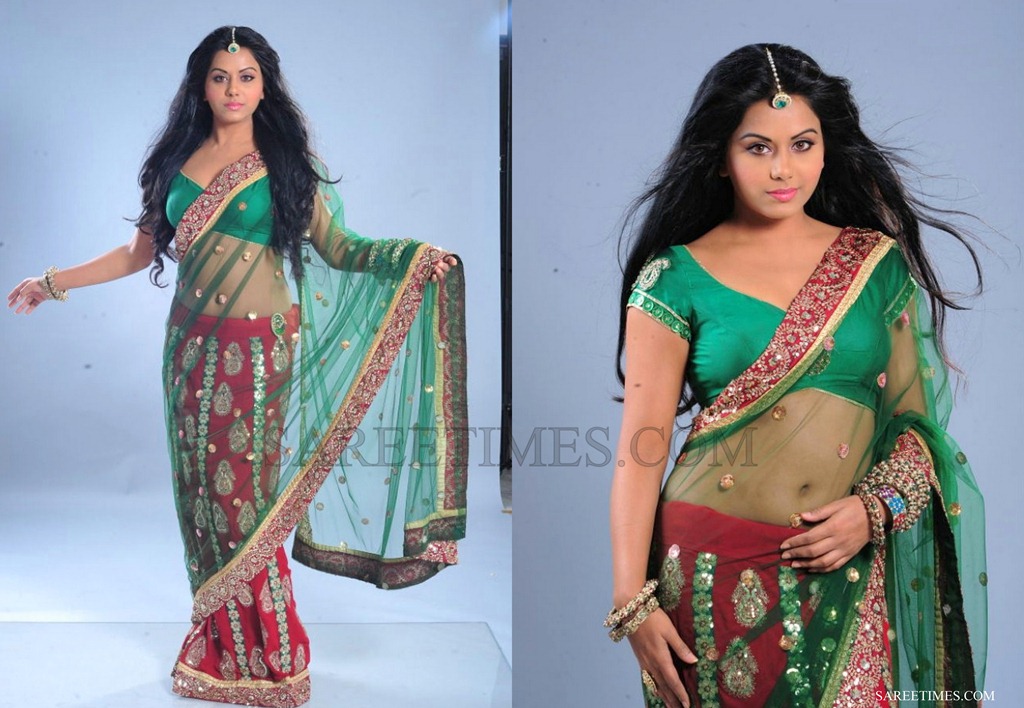 [Rachana_Mourya_Green_Shimmer_Saree%255B4%255D.jpg]