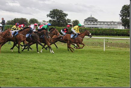 29_08_2014-17_56_51-3582Thirsk Race Course