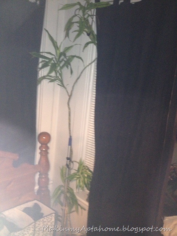 [IMG_0332%255B4%255D.jpg]