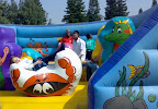 p1272886767(5).jpg