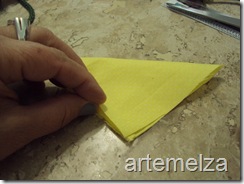 DSC00730 DSC00730