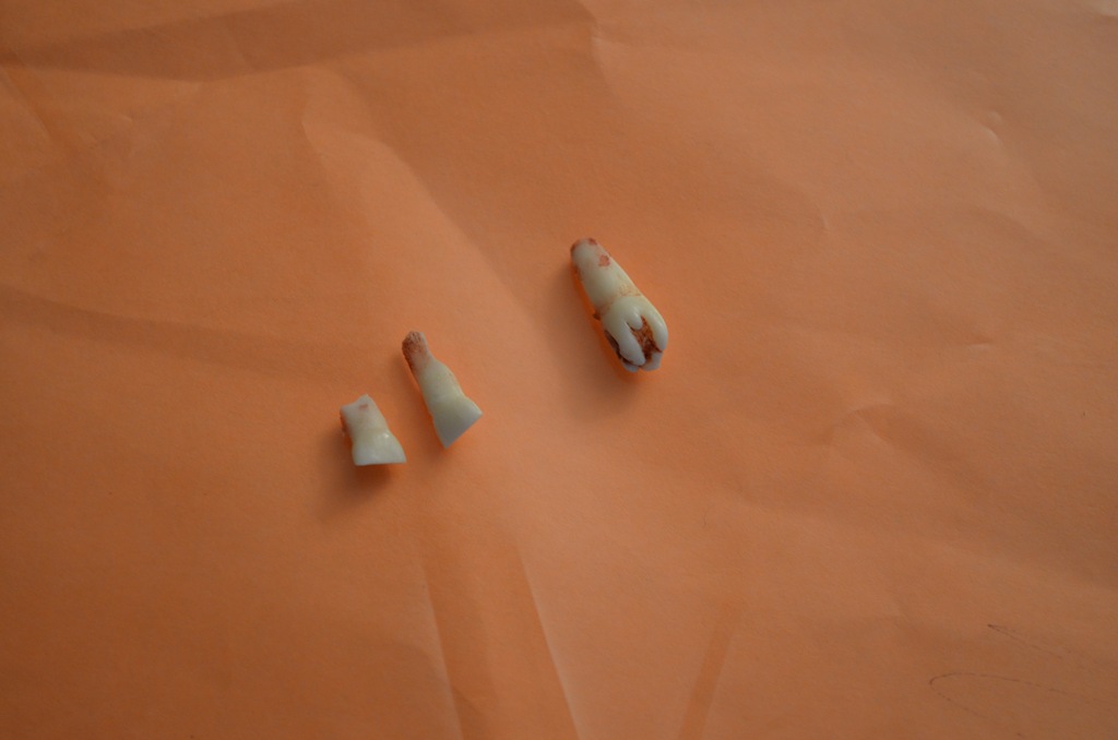 [DSC_1852%255B3%255D.jpg]