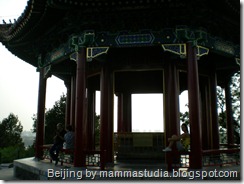 DSCN3356 DSCN3356