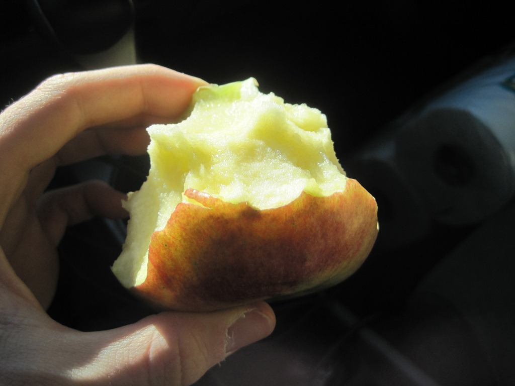 [IMG_5940%255B4%255D.jpg]