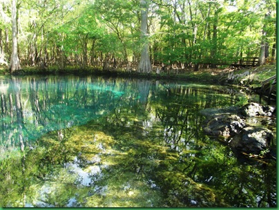 Manatee Springs 028