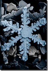 400px-Snow_crystals_2b 400px-Snow_crystals_2b