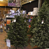 IMG_5721-TWINKLE.gif
