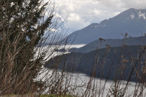 DSC_0031.jpg DSC 0031