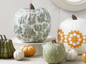 [pumpkin3%255B7%255D.jpg]
