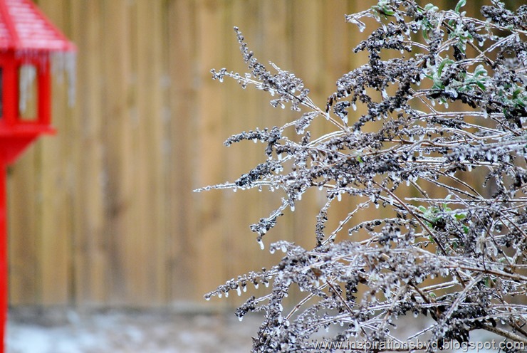 snow (21) snow (21)