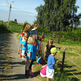 Album weergeven