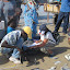 Registros diarios de pesca