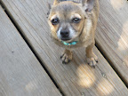 Minnow, just moments before her gold medal performance.