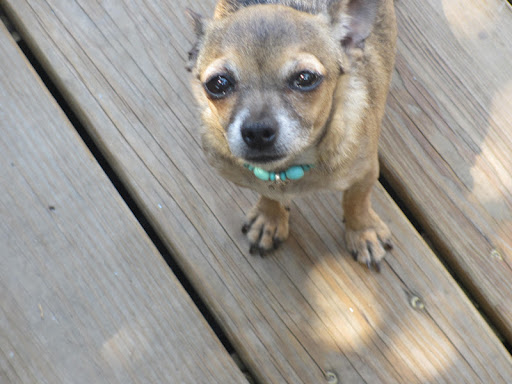 Minnow, just moments before her gold medal performance.