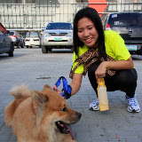 Pet Express Doggie Run 2012 Philippines. Jpg (262).JPG