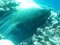 IMG_1019.JPG