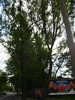 IMG_0291.JPG