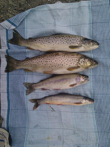 IMG_20110709_165957.jpg