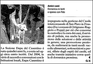 CAMMINATA CAMMINATA