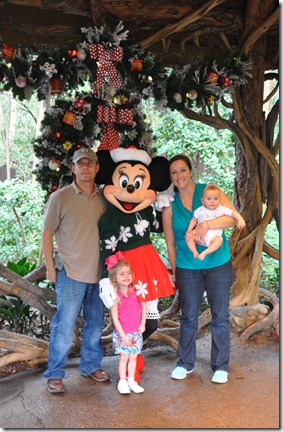 animal kingdom 121012 155