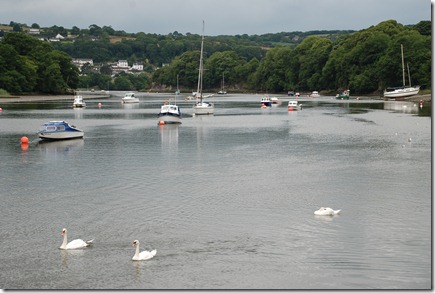 aberaeron 010