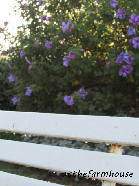 [IMG_3291a%255B3%255D.jpg]