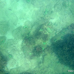 DRK 43rd trip 6-5-12 - P1160008.JPG