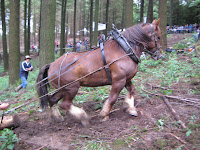 IMG_3971.JPG