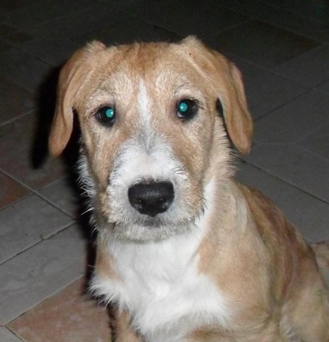 [Canela%2520%25286%2529%255B6%255D.jpg]