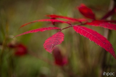IMG_0507 IMG_0507