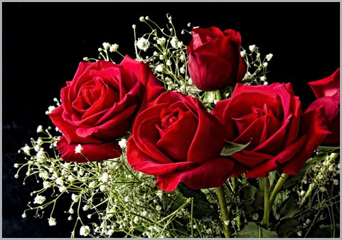 557120_nature_flowers_flower_basket_red_roses_2436x1695_(www.GdeFon.ru)