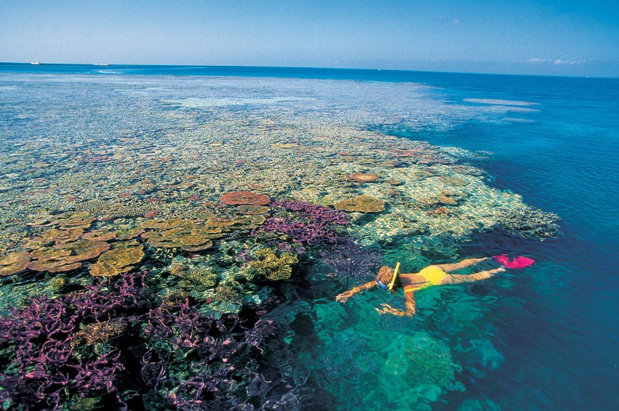 [Great-Barrier-Reef-photo-114.jpg]