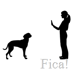 [fica%255B41%255D.png]