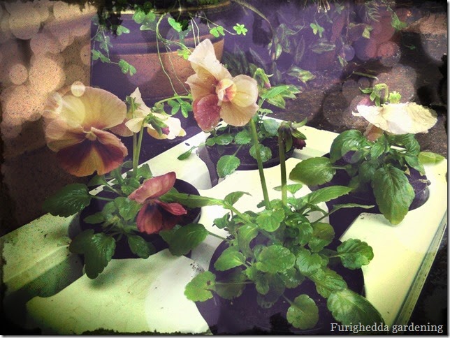 Foto 13 Foto 13