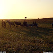 Albuera 1811-2011 PiotrZurek-1061.jpg