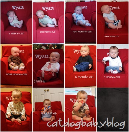 wyatt monthly pics wyatt monthly pics