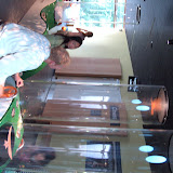BILD0686.JPG