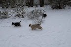 _DSC0073.JPG