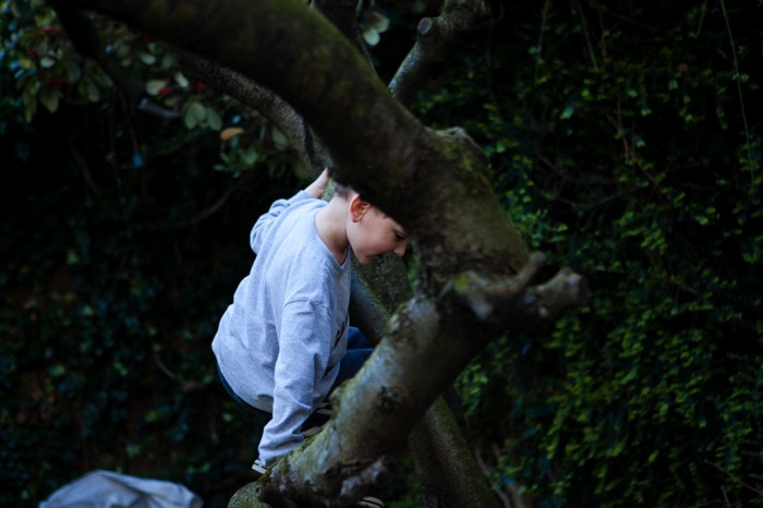 tree climbing-3.jpg Tree climbing 3