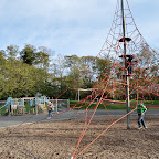 DSC_7499-2.jpg