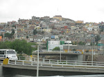 IMG_6358.JPG
