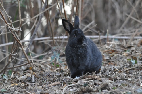 DSC_0150.jpg DSC 0150
