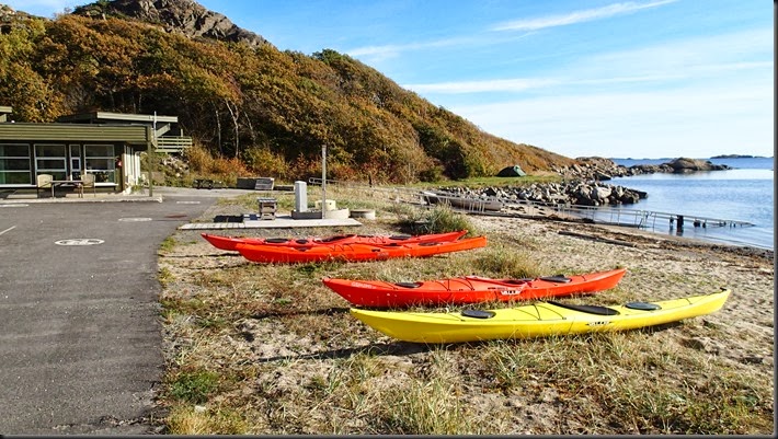 PA110658 PA110658