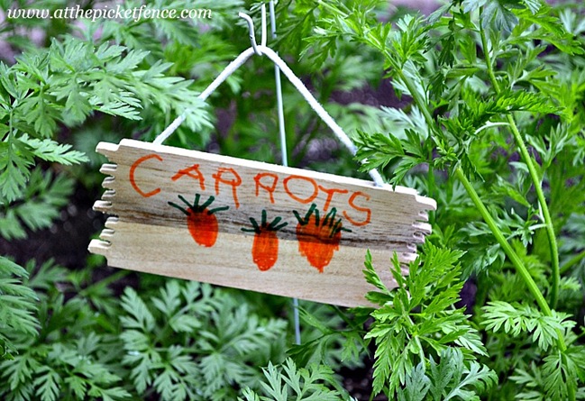 Carrots Garden Marker Carrots Garden Marker