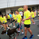 Pet Express Doggie Run 2012 Philippines. Jpg (41).JPG